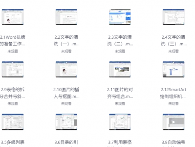 Word高效办公:从小白到精通